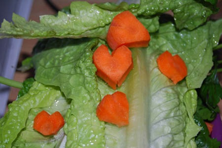 I made them a special Valentine's Day Breakfast with heart shaped carrots.